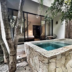 Tropical Room Plunge Pool Private Garden